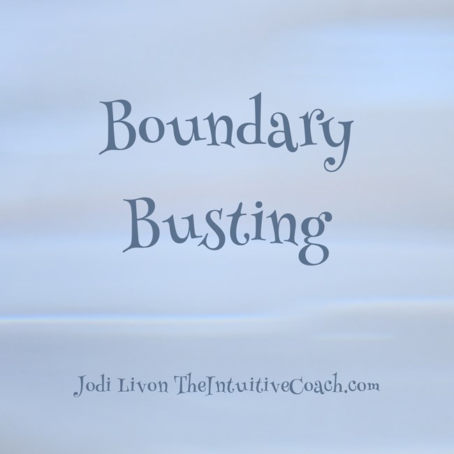 Boundary Busting – Jodi Livon